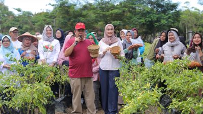 GENCAR Membuahkan Hasil, Bukti Komitmen Gubernur Hidayat Arsani Sukseskan Program Ketahanan Pangan