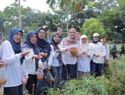 Dari Pekarangan ke Ketahanan Pangan, Gubernur Hidayat Arsani Dorong Pengendalian Inflasi melalui Gerakan Tanam Cabai