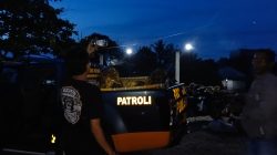 Polisi Berhasil Ungkap Kasus Pencurian Sawit yang Meresahkan Warga Desa Perlang