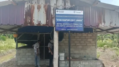 PT TIMAH Perkuat Ekonomi Lokal Lewat Peternakan Ayam Kampung di Kabupaten Karimun 
