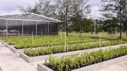 Komitmen Pengelolaan Lingkungan, PT TIMAH Reklamasi Ratusan Hektar Lahan Pasca Tambang di Bangka Belitung