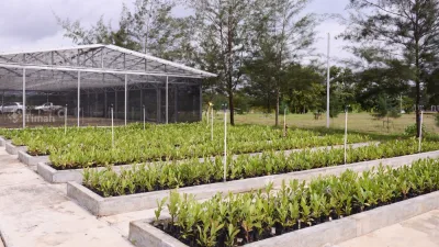 Komitmen Pengelolaan Lingkungan, PT TIMAH Reklamasi Ratusan Hektar Lahan Pasca Tambang di Bangka Belitung