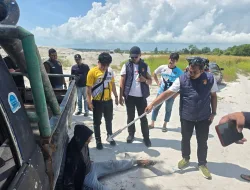 Warga Koba Diduga Meninggal Dunia Pada Saat Upaya Pencurian di Sarang Ikan Lubuk Besar