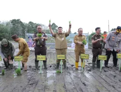 Gubernur Hidayat Arsani Pimpin Penanaman Padi Program Ketahanan Pangan Desa Adhyaksa 2026 di Namang Bangka Tengah