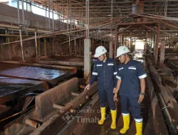Optimalkan Kinerja Keuangan dan Tata Kelola, Laba TINS Tembus Rp1,31 Triliun