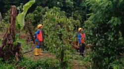 PLN Babel Pastikan Kelistrikan Bangka Belitung Telah Pulih 100%