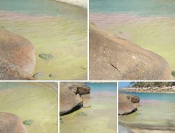 Soal Pencemaran Pantai Turun Aban, Matras dan Tanjung Kelayang, Pihak DLH Bangka Tunggu Hasil Lab DLH Provinsi
