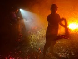 Satu Bulan Terakhir Karhutla di Kabupaten Bangka Capai Puluhan Hektar, Awas! Pelaku Bisa Dipenjara 10 Tahun