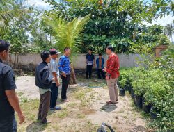 Kelurahan Surya Timur dapat Bantuan 1000 Bibit Cabai Lewat Program GENCAR, Satu KK Jatahnya 10 Bibit