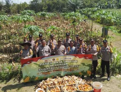 Dukung Ketahanan Pangan, Polsek Bakam dan Warga Panen Raya Jagung Masa Tanam Kuartal I