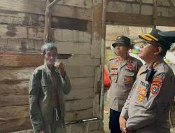 Belasan Rumah Rusak Diterjang Angin Kencang di Pangkalpinang, Mahasiswa UBB Jadi Korban Tertimpa Pohon Tumbang