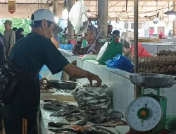 Pedagang Ikan di Pasar Mentok Mengeluh Sepi Pembeli 